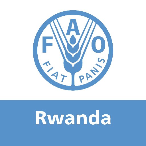 FAO RWANDA